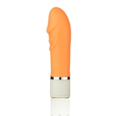 LY12A05 Silent Mini Vibrator