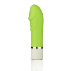 LY12A05 Silent Mini Vibrator