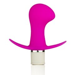 LY12A08 Mini Anal Vibrator