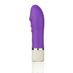 LY12A05 Silent Mini Vibrator