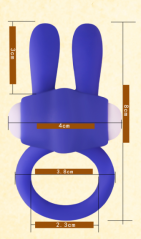 WS-001