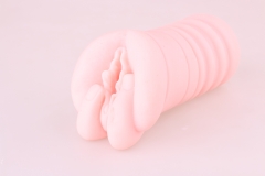 ws-005