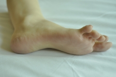 model of feet