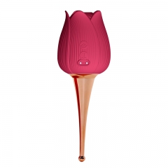 Clitoral sucking vibrator